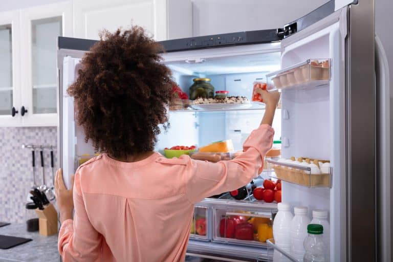 refrigerator storage ideas