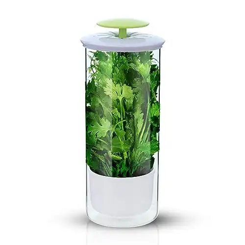 Borosilicate Glass Herb Keeper with Ventilation Slots and Drainage Holes